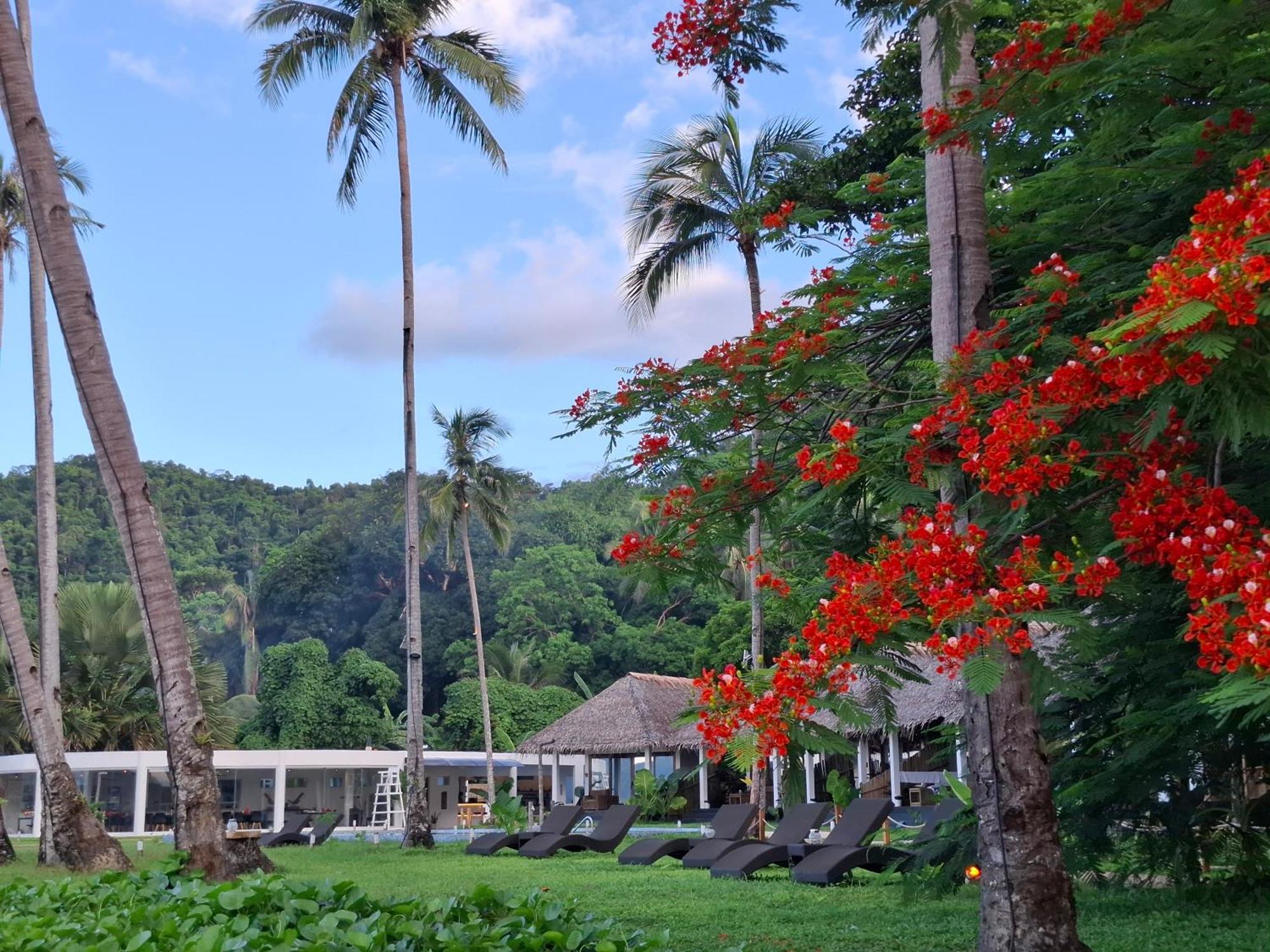 Bebeladan Beach Resort, In The Last Indigenous Corner เอลนิโด ภายนอก รูปภาพ